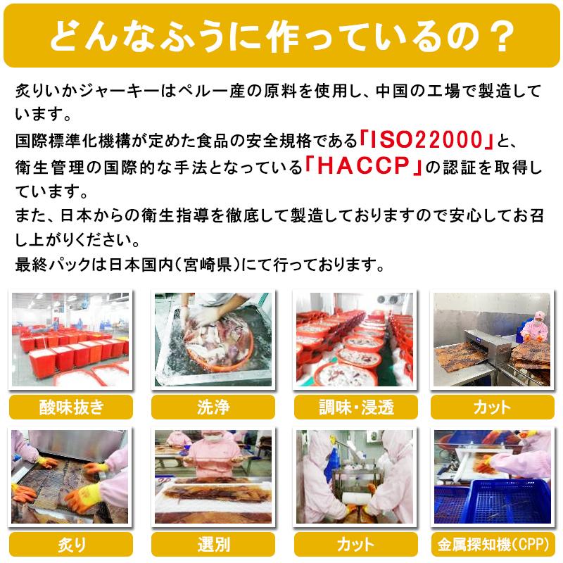 ＼SALE／かむチカラを育てる＜旨炙りいかスティック500g＞ おつまみ 父の日 送料無料 珍味 するめ ジャーキー いかジャーキー 海と太陽｜yummy39｜08