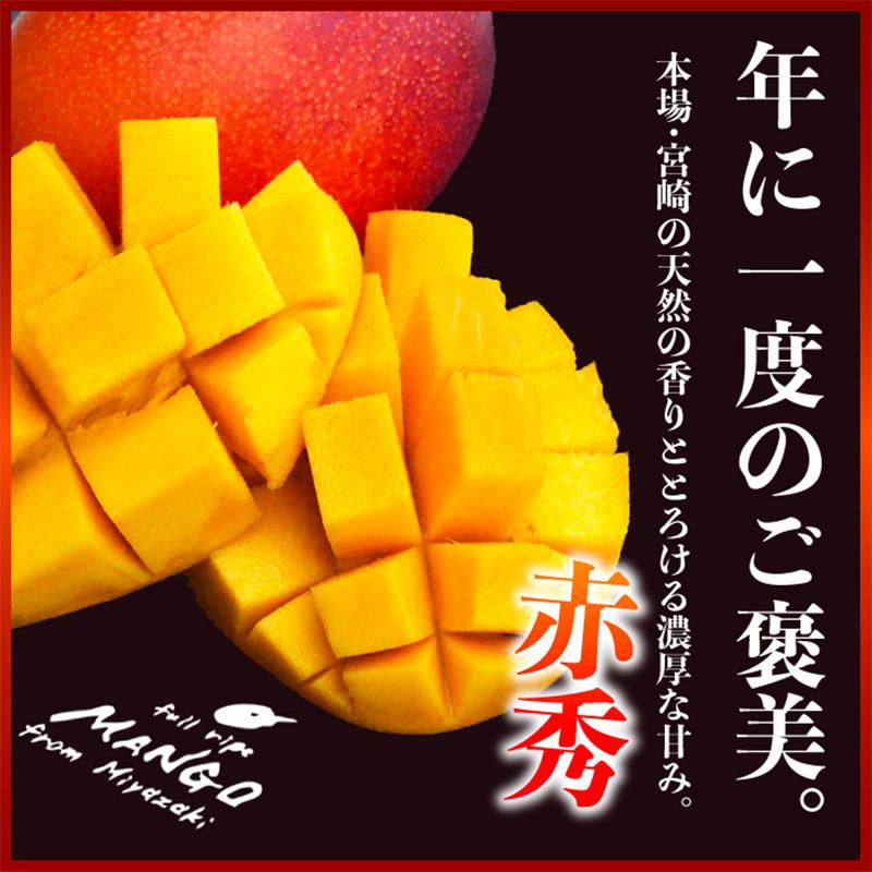 摘果マンゴー12kg (仮) 谷平様専用 【公式通販】