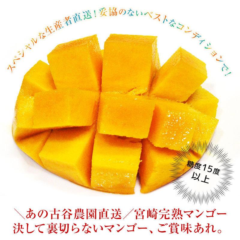 ☆ネコちゃん☆農家直送宮崎完熟マンゴー2.54kg 6個アーウィン種 ☆ネコちゃん様専用☆農家直送宮崎完熟マンゴー2.54kg 6個アーウィン