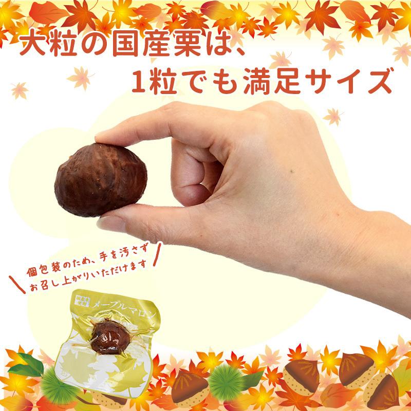 メープルマロン 5個入り 1パック メープルシロップ メイプルシロップ 栗 くり 送料無料 国産 個包装 着色料不使用 保存料不使用 Maple Marron1 おいしいものショップ海と太陽 通販 Yahoo ショッピング
