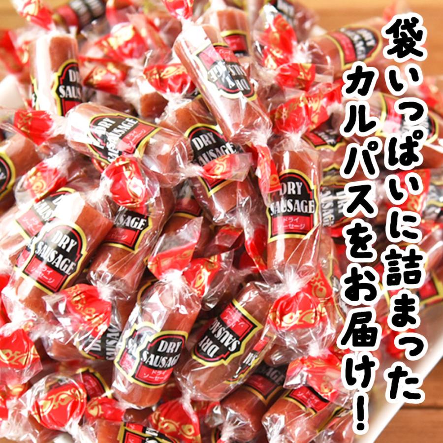 海と太陽 ＼ポイント15倍還元／＜パクっとカルパス318g＞ カルパス