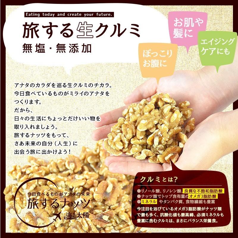 海と太陽 ＼20%OFFクーポン対象／＜旅する生クルミ500g＞ 無塩 無添加