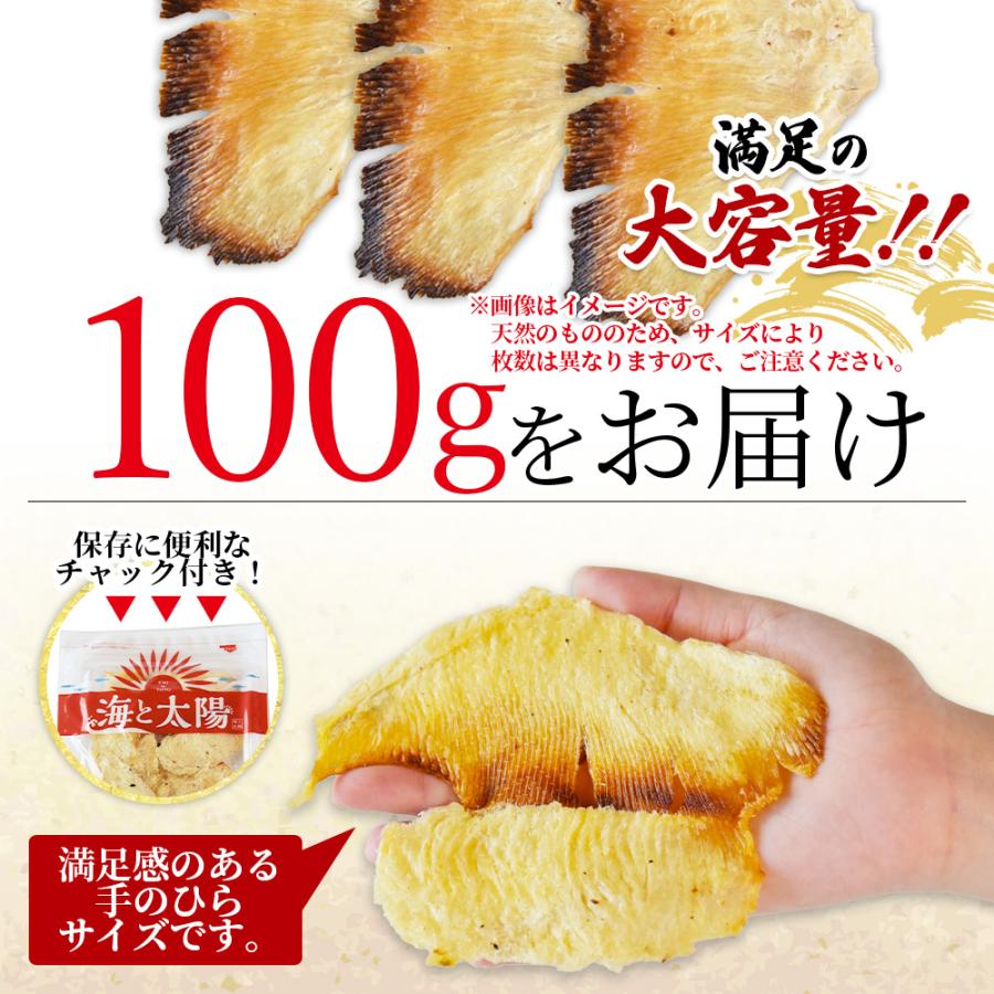 海と太陽 ＼ポイント15倍／＜焼エイひれロール100g＞ 高級珍味
