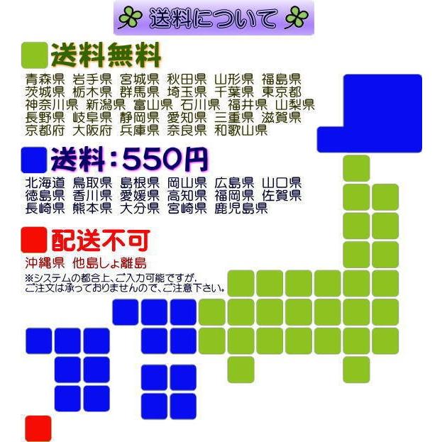 誕生日 結婚記念日 花 プレゼント お歳暮 クリスマス ギフト お祝い お見舞い 記念日 楽屋花 送別 かわいい フラワーアレンジ 3960円 画像送信｜yummy｜13