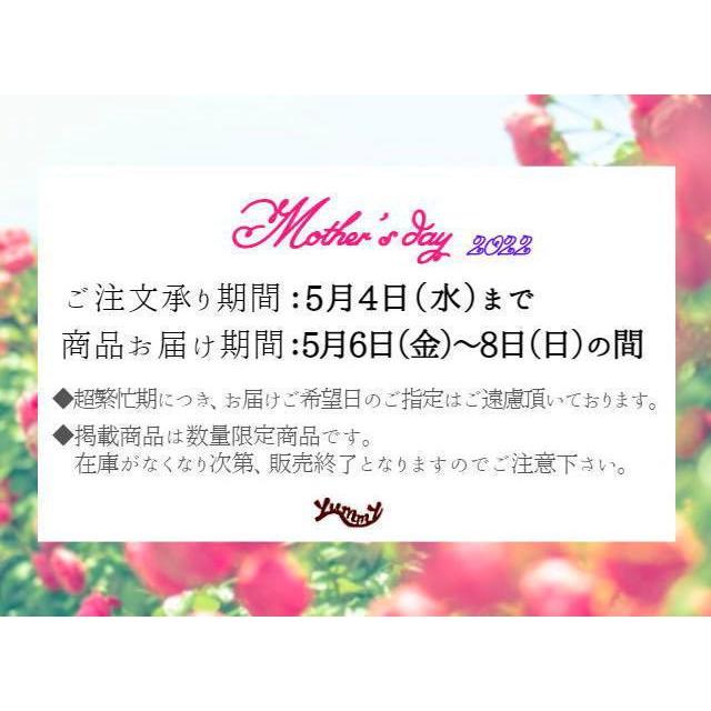 母の日 22 花鉢 新品種 カラー 赤 深紅 花 プレゼント ステキ ギフト 80代 70代 60代 鉢植え 逸品 上品 おしゃれ 豪華 高級 トーキョー ５号 鉢カバー C 008 フラワーギフトのヤーミーyahoo 店 通販 Yahoo ショッピング