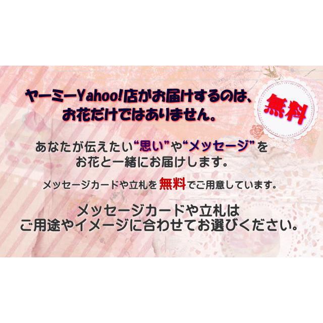 観葉植物 おしゃれ ギフト お祝い 花 プレゼント 寄せ植え 開店祝い 誕生日 陶器鉢入り スクエアホワイト サンセベリア mix｜yummy｜06