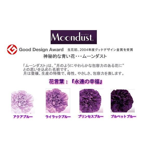 母の日 花 プレゼント 2022 おしゃれ ギフト 素敵 カーネーション ムーンダスト ハローキティ コラボ 記念 カード付き 青 フラワーアレンジメント RANMA |  | 10