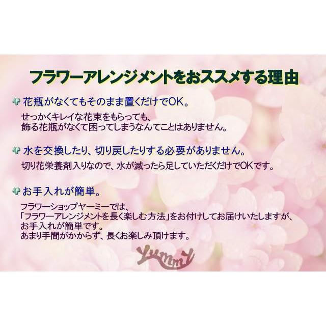 母の日 花 プレゼント 2022 おしゃれ ギフト 素敵 カーネーション ムーンダスト ハローキティ コラボ 記念 カード付き 青 フラワーアレンジメント RANMA |  | 12