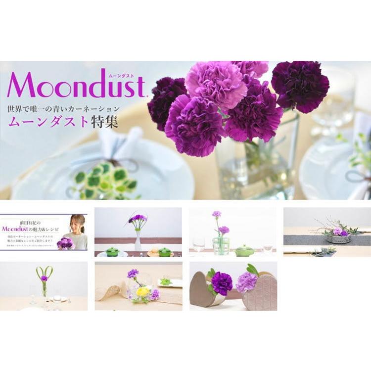 母の日 花 プレゼント 2022 おしゃれ ギフト 素敵 カーネーション ムーンダスト ハローキティ コラボ 記念 カード付き 青 フラワーアレンジメント RANMA |  | 13