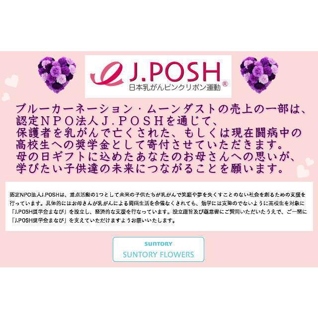 母の日 花 プレゼント 2022 おしゃれ ギフト 素敵 カーネーション ムーンダスト ハローキティ コラボ 記念 カード付き 青 フラワーアレンジメント RANMA |  | 14