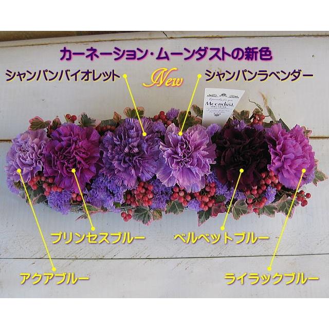 母の日 花 プレゼント 2022 おしゃれ ギフト 素敵 カーネーション ムーンダスト ハローキティ コラボ 記念 カード付き 青 フラワーアレンジメント RANMA |  | 02