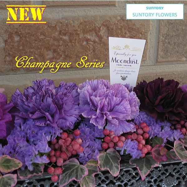 母の日 花 プレゼント 2022 おしゃれ ギフト 素敵 カーネーション ムーンダスト ハローキティ コラボ 記念 カード付き 青 フラワーアレンジメント RANMA |  | 06