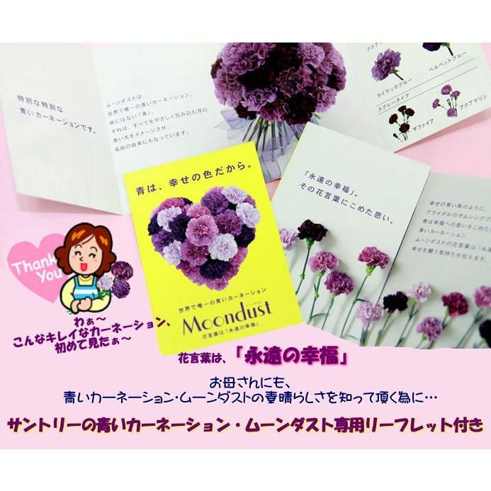 母の日 花 プレゼント 2022 おしゃれ ギフト 素敵 カーネーション ムーンダスト ハローキティ コラボ 記念 カード付き 青 フラワーアレンジメント RANMA |  | 09
