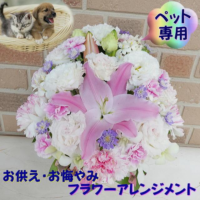 ペット お悔やみ花 お供え 花 お悔やみ 犬 ネコ 仏花 贈り物 おしゃれ かわいい フラワーアレンジメント デザイナーにおまかせ 虹の橋 5500円 Osp 0005 フラワーギフトのヤーミーyahoo 店 通販 Yahoo ショッピング