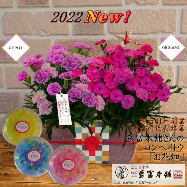 母の日 22 新品種 カーネーション 源氏 おりがみ 花 プレゼント 花とスイーツ 選べる ギフト 可愛い ミックス 和モダン オシャレ コンペイトウ セット P 016 フラワーギフトのヤーミーyahoo 店 通販 Yahoo ショッピング