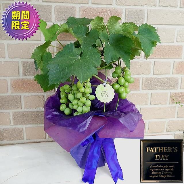 父の日 プレゼント 花 21 70代 80代 60代 ギフト 期間限定 盆栽