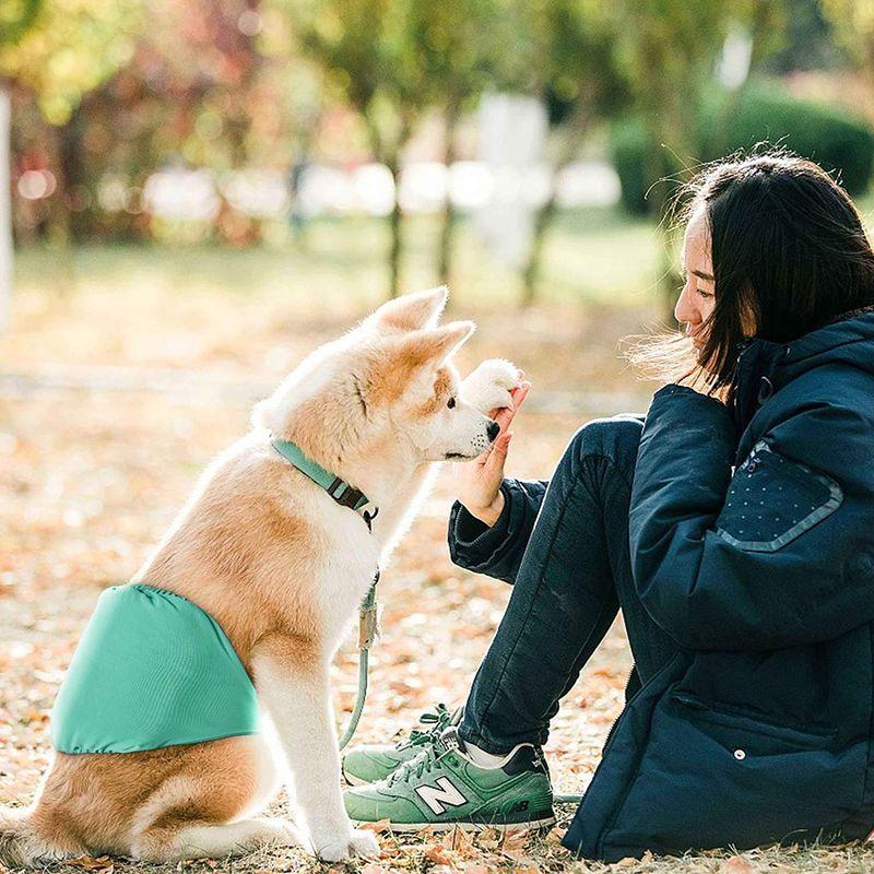 春早割 犬マナーベルト マナーパンツ 犬用 オス 男の子 メッシュ裏地 吸収層付き 防水加工生地 マーキング防止 介護用 お漏らし しつけ お出かけ Greatfoods Com Eg