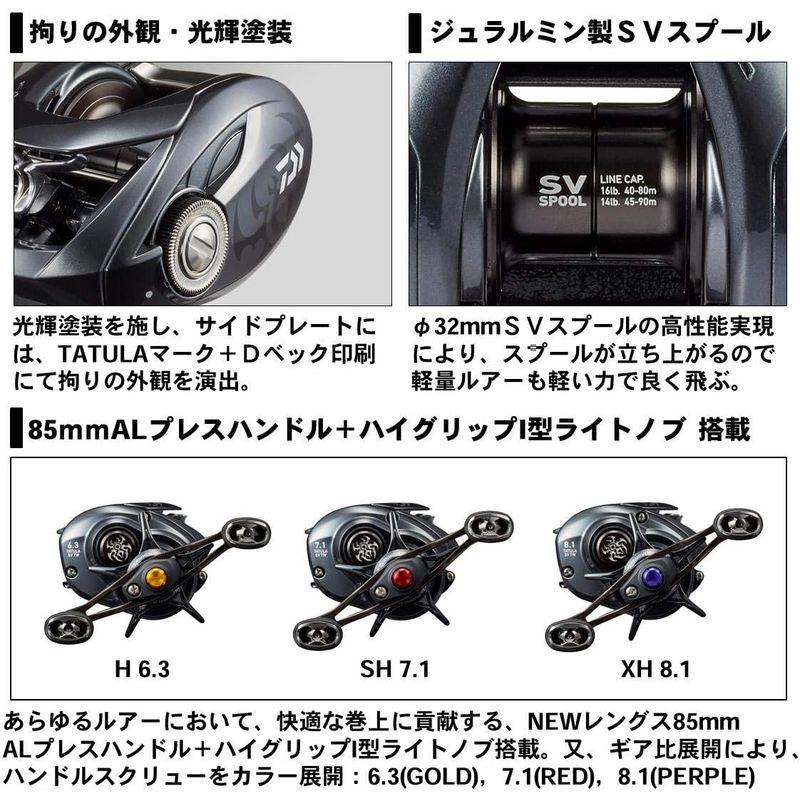 大好評売り ダイワ(DAIWA) ベイトリール 20 TATULA SV TW 103H(2020モデル)