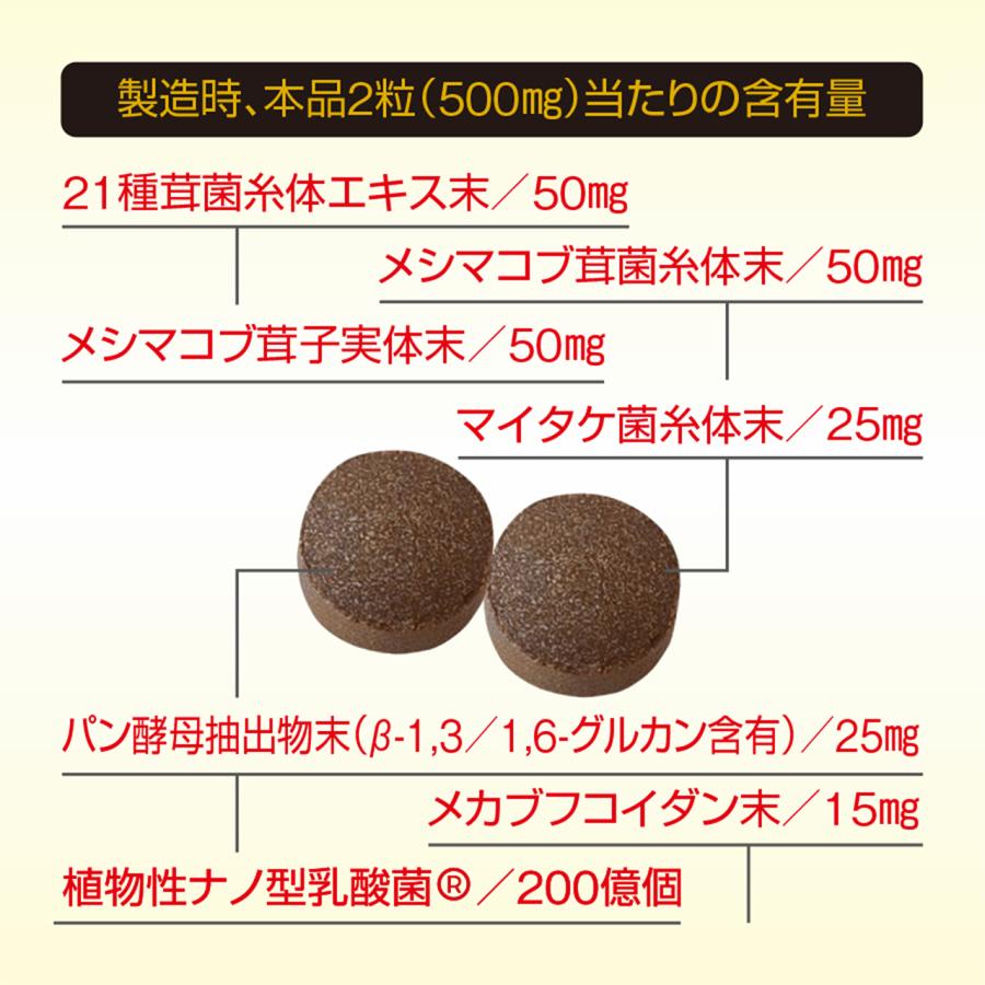 マッシュルームサプリ サプリメント 21種 きのこ メシマコブ茸 