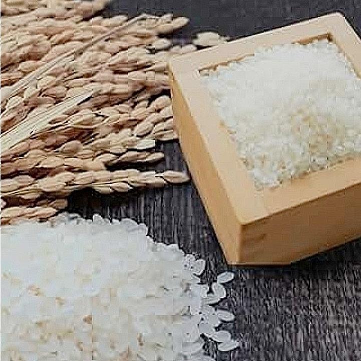 令和7年産新米 福島県産米「福、笑い」2kg×2袋（箱入り）☆単一原料米 