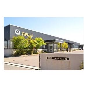 宮内ハムのドライソーセージ・メガパック500(無選別カルパス) 辛口