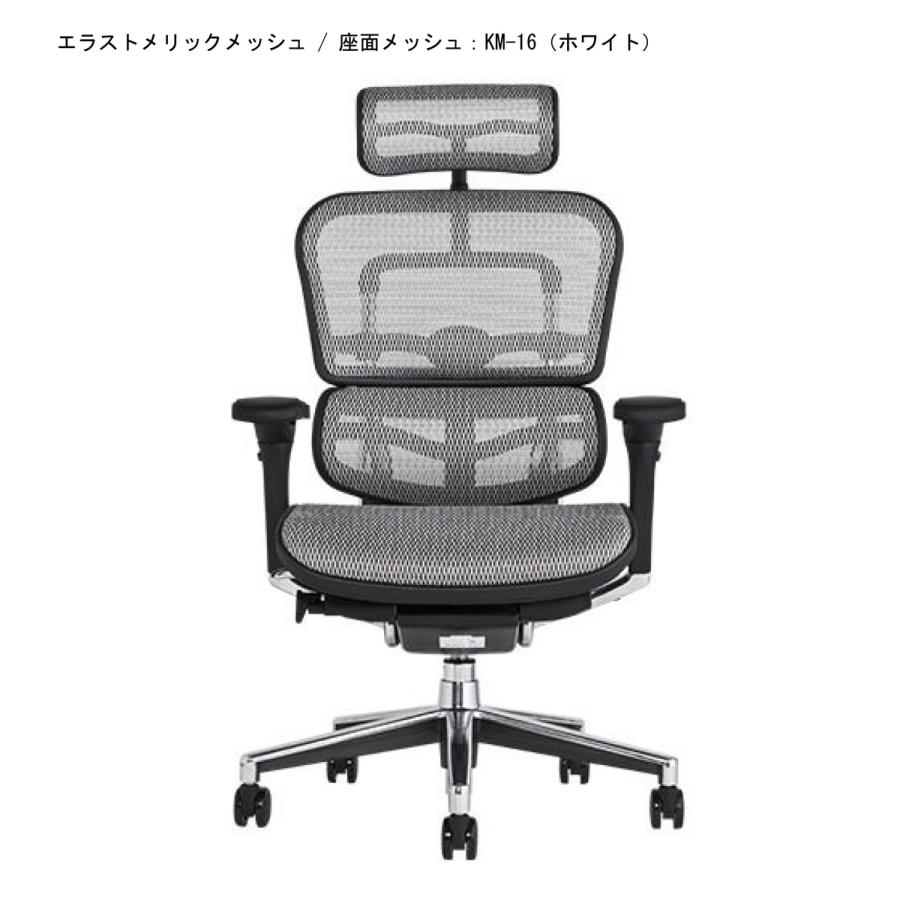 エルゴヒューマン（Ergohuman） エルゴヒューマンEH-HAM ベーシック