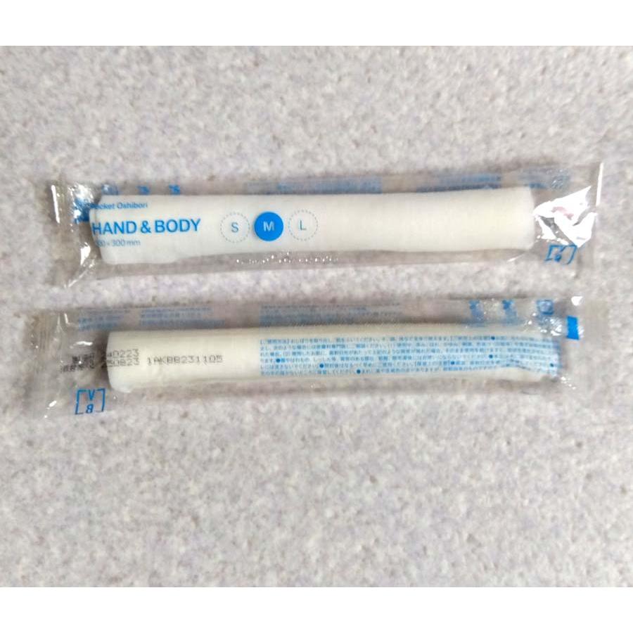 FSX 使い捨て 紙おしぼり 抗ウイルス抗菌 丸型 HAND＆BODY 使い切り大判ウェットタオル HAND 1ケース 600本 | FSX