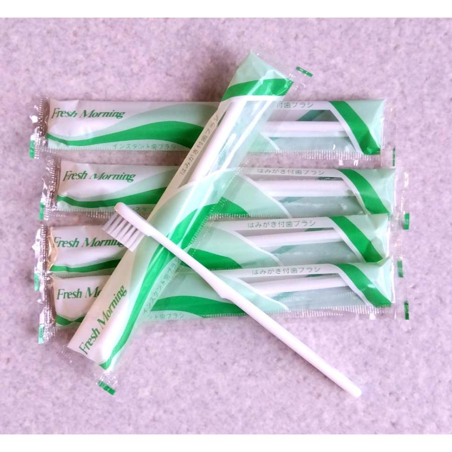 （送料無料）使い捨てハブラシ歯磨き粉付　１００本　配送クリックポストの為日時・時間指定はできません。 |  | 01