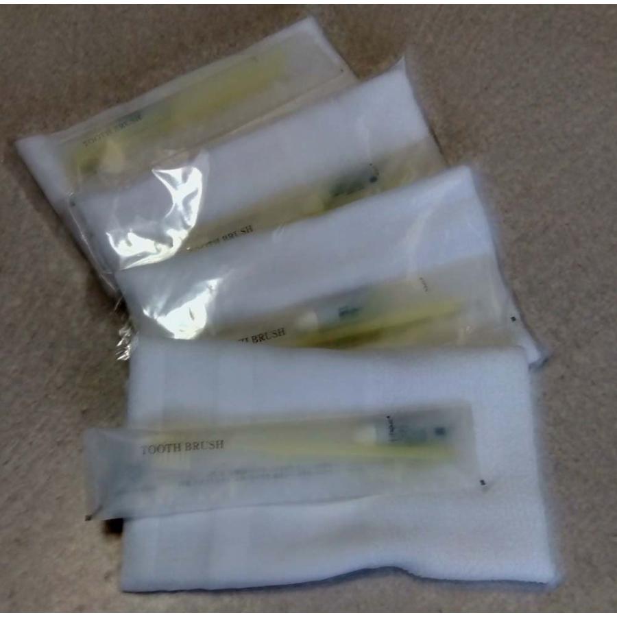 （送料無料）タオル160匁白ハブラシ入り（旅館、ホテル客室用白タオルハブラシ入りセット）（200セット)  （北海道、沖縄、離島、は別途送料がかかります。） |  | 02