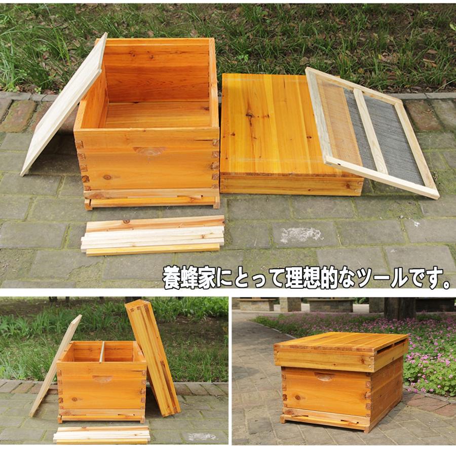 西洋蜜蜂巣箱7枚単箱×2 沖縄モデル 絞り出せ 西洋蜜蜂巣箱7枚単箱×2 沖縄モデル 絞り出せ
