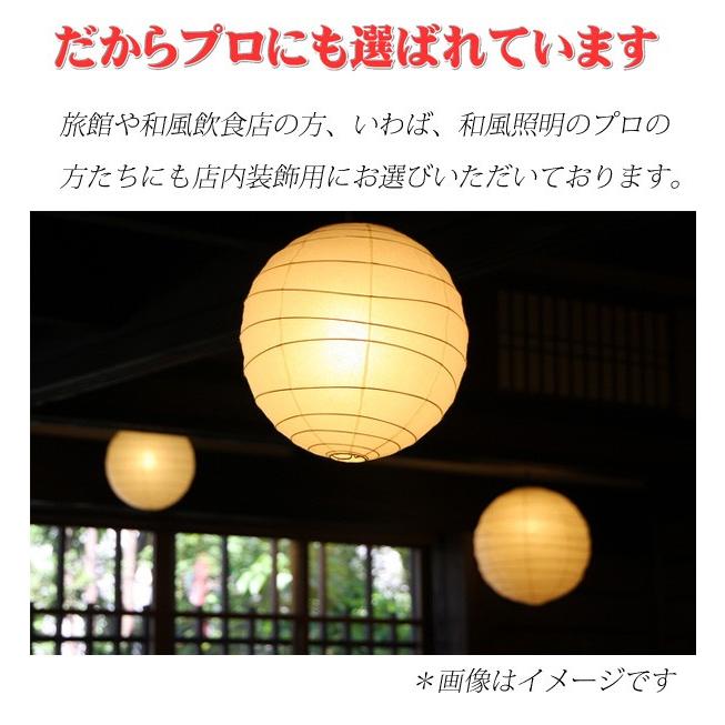 照明 シェードのみ 』和紙ランプシェード ツインバナナ半楕円 （ 電気