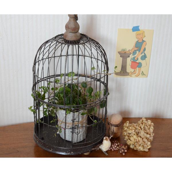 鳥かごラウンド プランターカバー ガーデニング 観葉植物 バードケージ おしゃれ アイアン アンティーク調 ｍｔｂ００６ G 0040 Roundbirdcage ゆららかマーケット 通販 Yahoo ショッピング