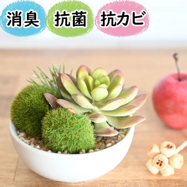 激安 新作 Ct触媒 フェイクグリーン 多肉植物寄せ植え 消臭 多肉植物 観葉植物 フラワー グリーン 防汚 抗菌 本物みたい 光触媒より便利 おしゃれ 玄関 トイ