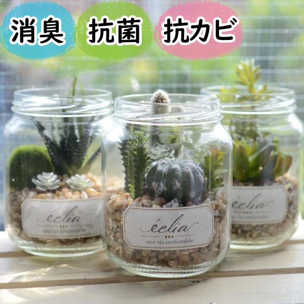 フェイクグリーン 鉢植え 消臭 おしゃれ リアル 小型『光触媒より便利なＣＴ触媒 エクリア 』（Yahoo!・ゆららかマーケット）