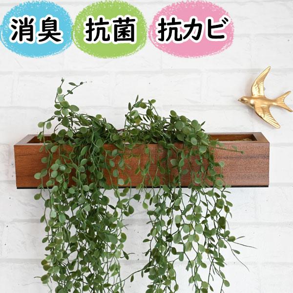 ｃｔ触媒フェイクグリーン エクリアコンテナl 消臭 観葉植物 壁掛け 本物みたい 光触媒より便利 おしゃれ ギフト プレゼント 玄関 トイレ インテリア おすすめ 市場