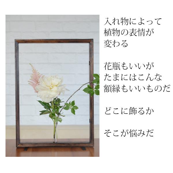 フラワーフレームａ３ 一輪挿し 壁掛け 木製 フラワーベース 花瓶 グリーン 植物 花 飾る 収納 プランター おしゃれ G 0111 Flowerframea3 ゆららかマーケット 通販 Yahoo ショッピング