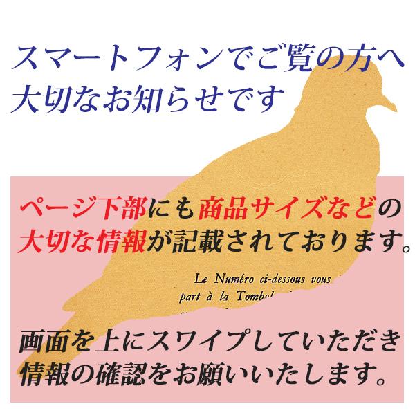 フラワーベース ハンギング 吊り下げ 一輪挿し  プランター おしゃれ 壁 『サントリナ　アルミハンギングフラワーベース』｜yurarakamarket｜19