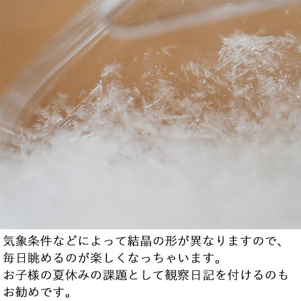 『 ストームグラス 富士山 』（ おしゃれ ガラス 結晶 置物 飾り 天気 変化 ）｜yurarakamarket｜05
