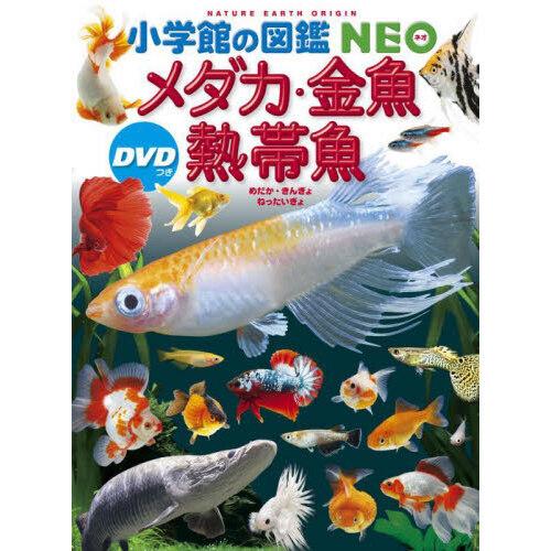 メダカ・金魚・熱帯魚 DVDつき : 有隣堂ヤフーショッピング店 メダカ・金魚・熱帯魚 DVDつき : 有隣堂ヤフーショッピング店