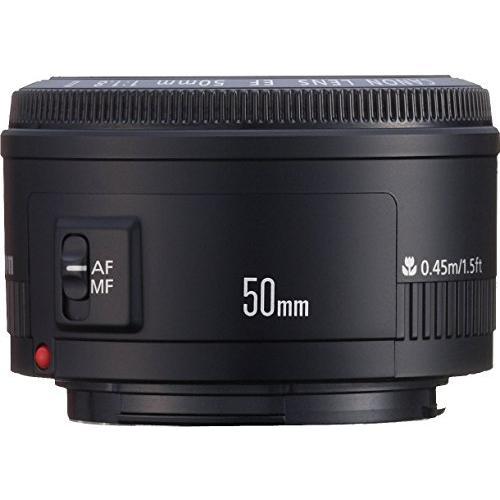 CANON EF50mm F1.8 STM レンズ(単焦点) Canon EF50mm F1.8 STM実写レビュー！はじめての単焦点におすすめの