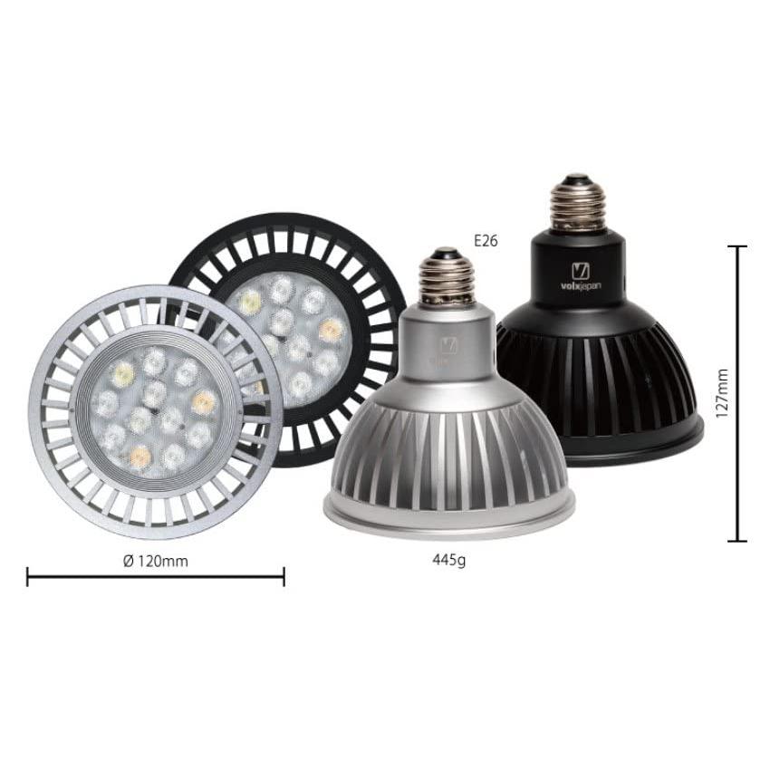 ボルクスジャパン グラッシーレディオ RX122s コーラル 銀 ボルクスジャパン グラッシーレディオ RX122s コーラル