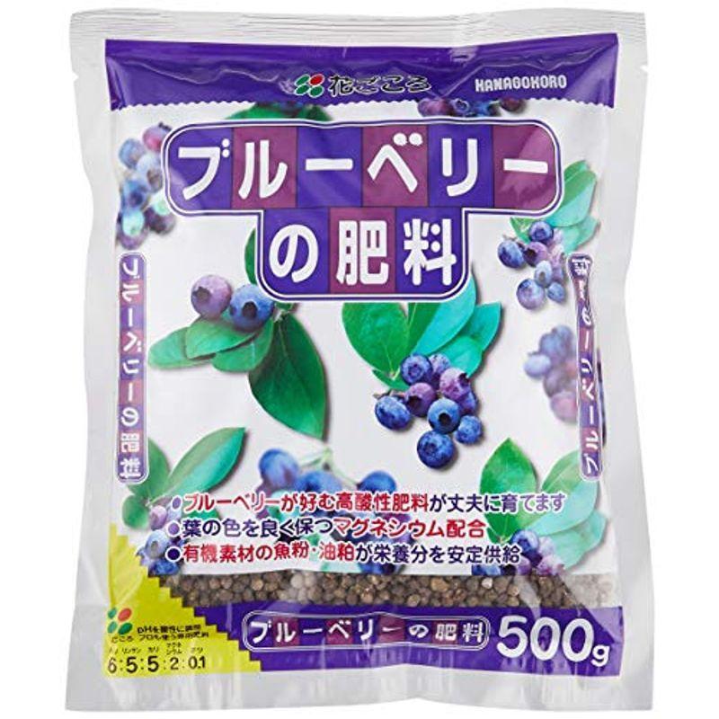 花ごころ ブルーベリーの肥料 500g 最新作の