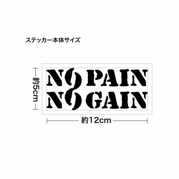 No Pain No Gain Fs08 腐食調 ノーペインノーゲイン カッティングステッカー ミニサイズ 3枚組 幅約12cm 高約5cm C15npng08 ゆうせいマーケット 通販 Yahoo ショッピング