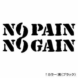 No Pain No Gain Fs08 腐食調 ノーペインノーゲイン カッティングステッカー ミニサイズ 3枚組 幅約12cm 高約5cm C15npng08 ゆうせいマーケット 通販 Yahoo ショッピング