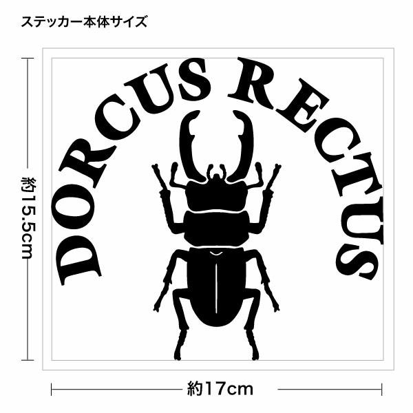 【コクワガタ Ver.037 カッティングステッカー 2枚組 幅約17cm×高約15.5cm】｜yuseimarket｜02