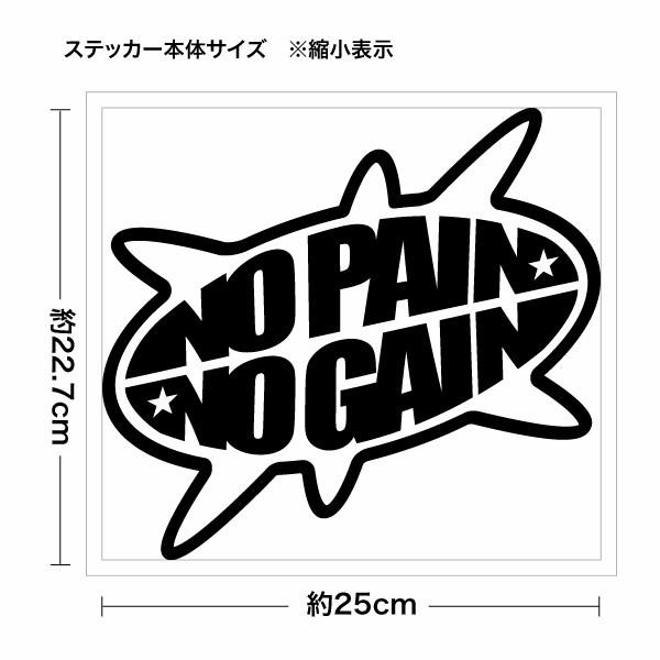 No Pain No Gain Fve027 ノーペインノーゲイン カッティングステッカー 大判lサイズ 2枚組 幅約25cm 高約22 7cm Cnpng027 ゆうせいマーケット 通販 Yahoo ショッピング