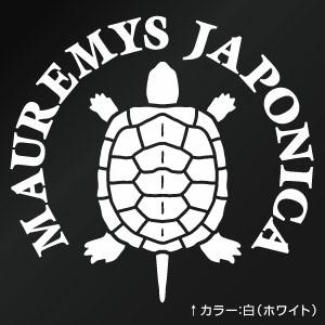 ゼニガメモチーフ 日本イシガメの子ガメ Zng006 カッティングステッカー 大判lサイズ 2枚組 幅約26 5cm 高約25 1cm Czng06 ゆうせいマーケット 通販 Yahoo ショッピング