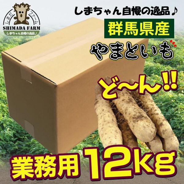 【訳あり】【島田ファーム産 やまといも12Kg】クッキングレシピ付き♪_1
