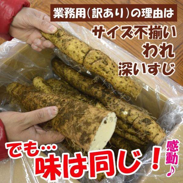 【訳あり】【島田ファーム産 やまといも12Kg】クッキングレシピ付き♪_2