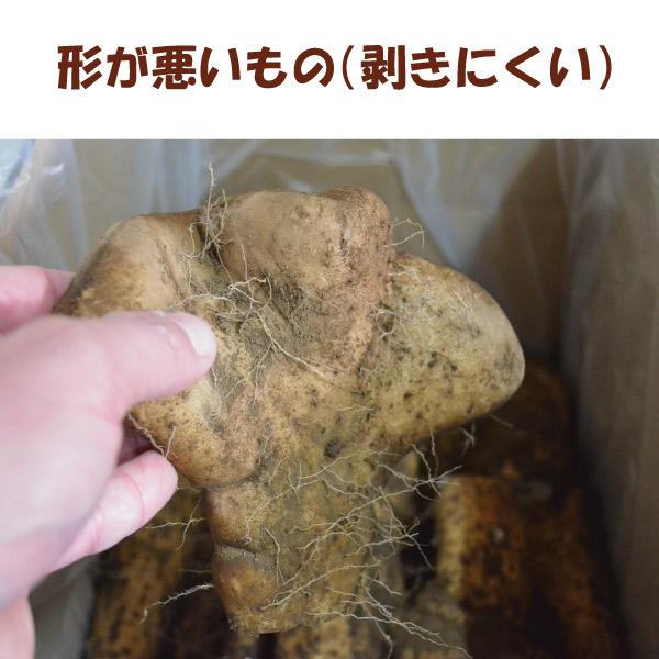 【訳あり】【島田ファーム産 やまといも12Kg】クッキングレシピ付き♪_7